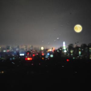 美女啪啪动态图
