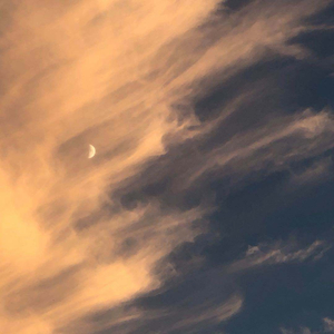 美女啪啪动态图
